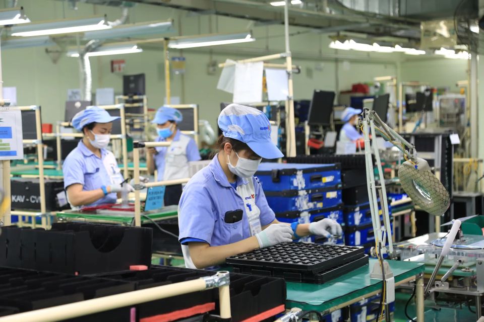Cần một cuộc cải cách về thuế