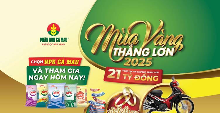 NPK Cà Mau 20-10-10: Chọn đúng, trúng mùa vàng
