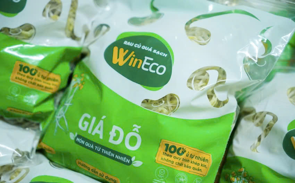 WinEco và hành trình chuẩn hóa giá đỗ sạch: Từ nhà kính công nghệ cao đến bữa ăn an toàn của người Việt