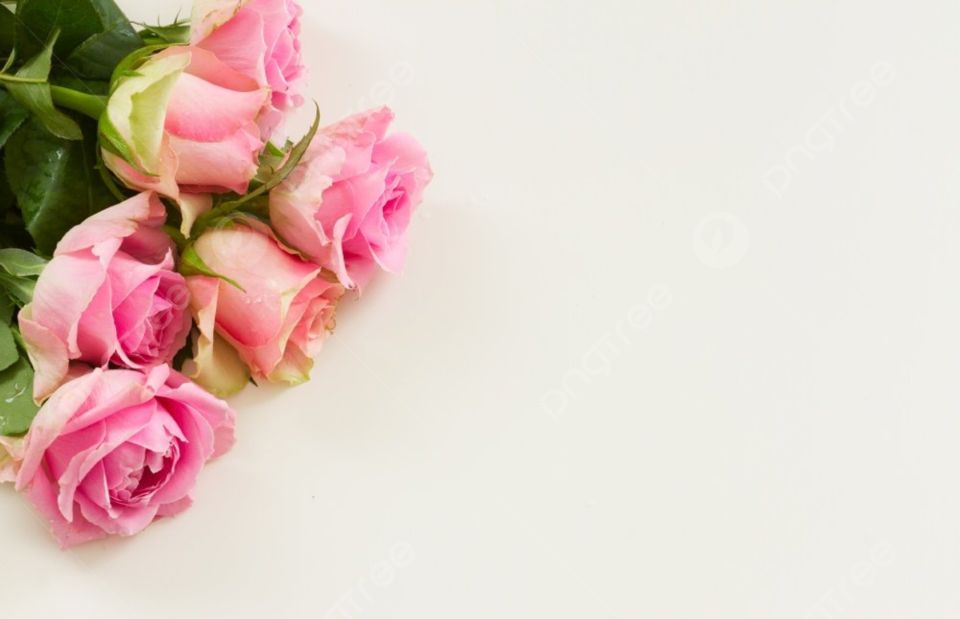 Tử vi ngày 13/6/2025 của 12 cung hoàng đạo: Bọ Cạp nên giảm chi phí không cần thiết