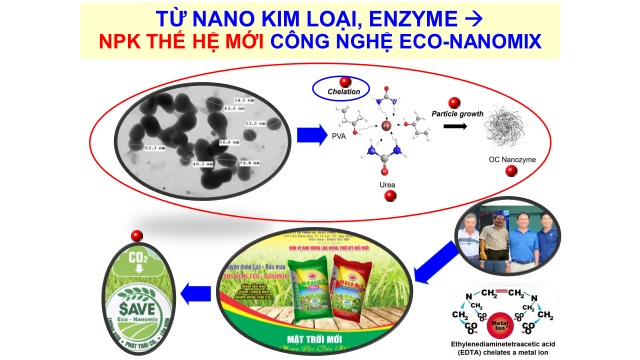 Phú Yên: Lần đầu ứng dụng phân bón NPK công nghệ Nano trên cây lúa – bước đột phá cho nông nghiệp xanh và bền vững