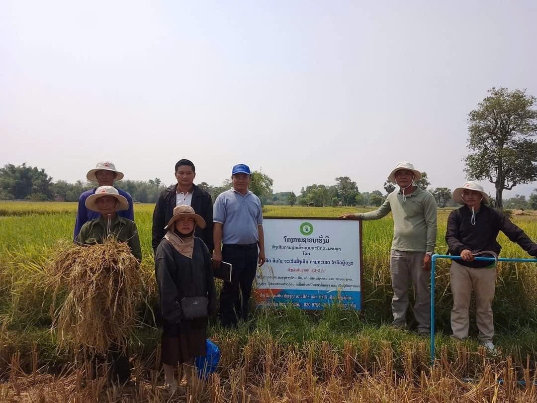 Phú Yên: Lần đầu ứng dụng phân bón NPK công nghệ Nano trên cây lúa – bước đột phá cho nông nghiệp xanh và bền vững