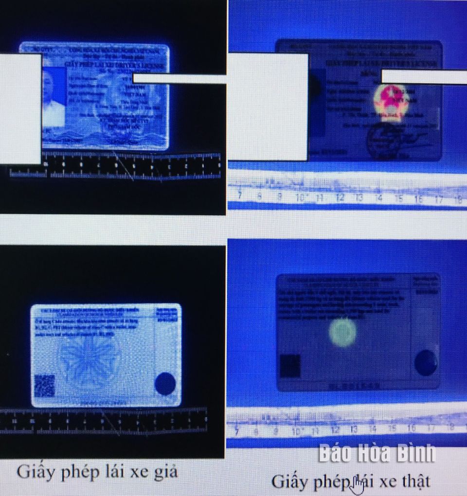 Phát hiện tình trạng mua bán, sử dụng giấy phép lái xe giả