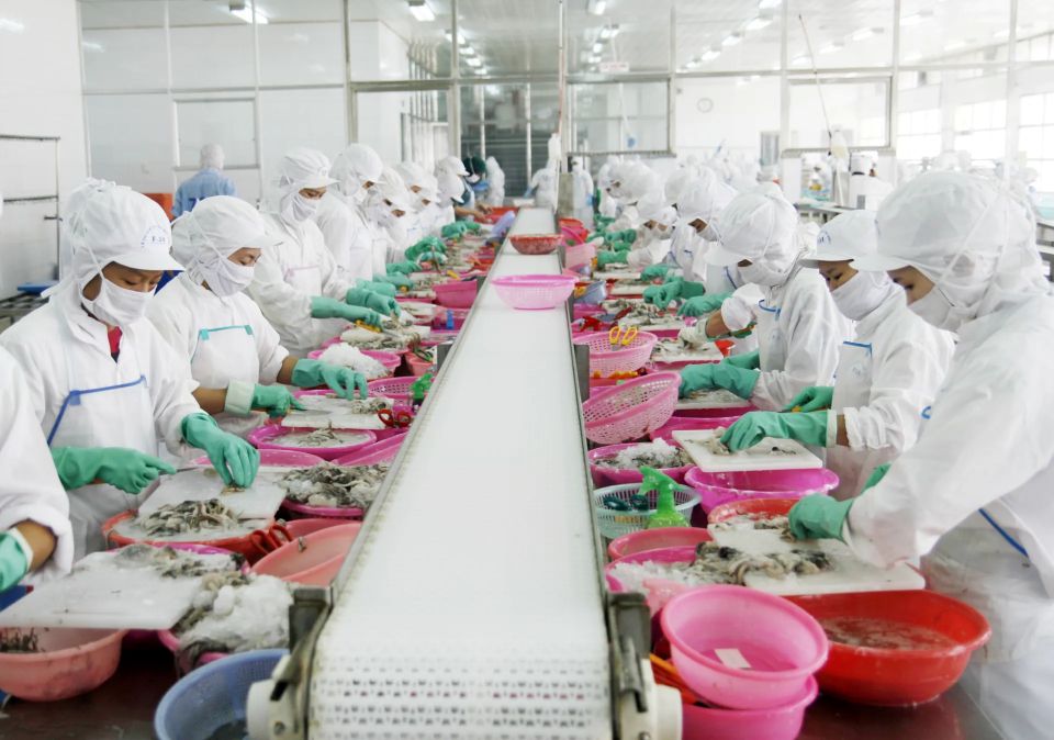 Xuất khẩu thủy sản: Tái cơ cấu thị trường để tránh rủi ro