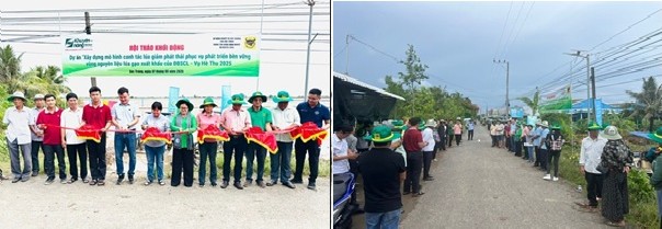 Phân bón Bình Điền đẩy mạnh dự án xây dựng mô hình canh tác lúa giảm phát thải nhà kính