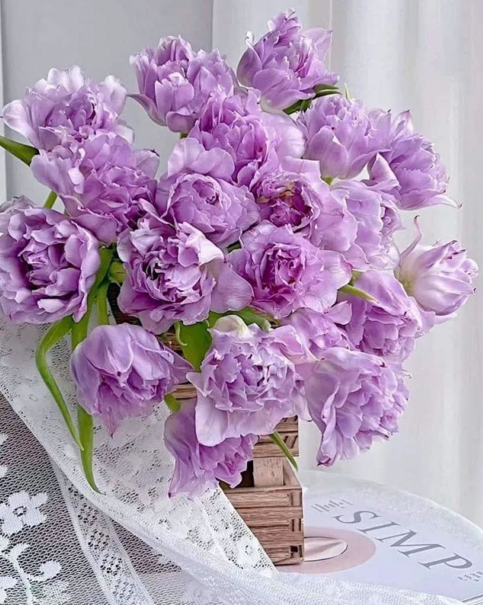 Tử vi ngày 28/6/2025 của 12 cung hoàng đạo: Song Ngư chuyện tình cảm không được suôn sẻ