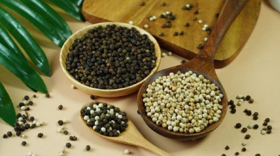 Giá nông sản ngày 30/6/2025: Cà phê tiếp đà tăng nhẹ, hồ tiêu ổn định