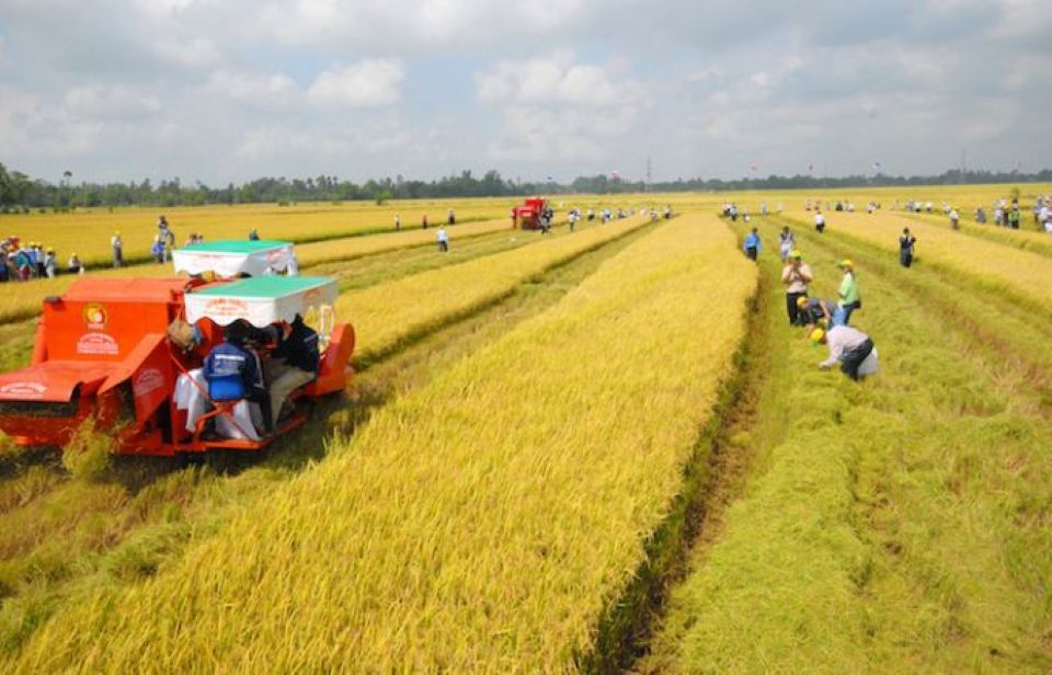 Kéo dài thời gian miễn thuế sử dụng đất nông nghiệp đến hết ngày 31/12/2030