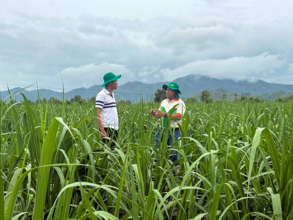 Bộ ba vàng vô cơ – hữu cơ – sinh học của Phú Mỹ - PVFCCo