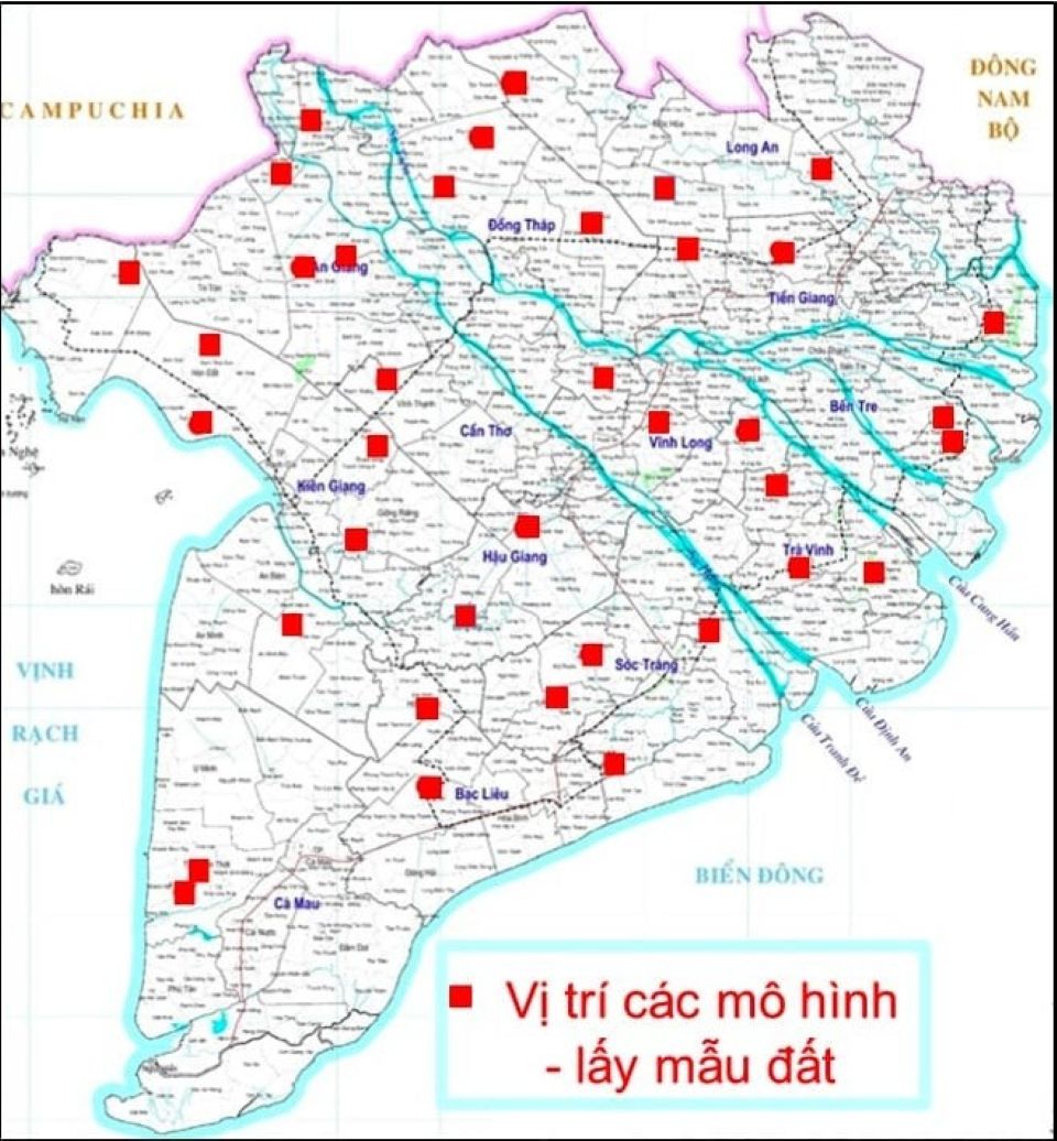 Thực trạng Can-xi (Ca) đất lúa vùng Đồng bằng sông Cửu Long từ kết quả chương trình “Canh tác lúa thông minh”