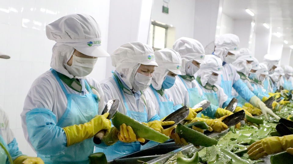 GC Food: Hành Trình kiến tạo “thực phẩm hạnh phúc” bằng nông sản sạch