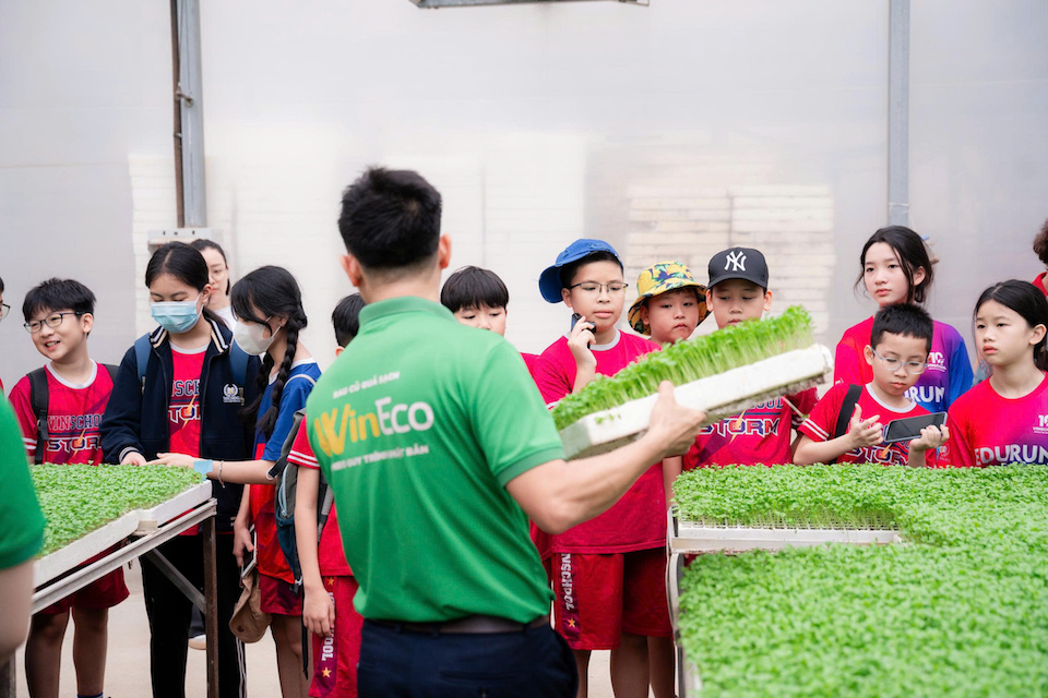 Masan Group: Đẩy mạnh đổi mới để phát triển bền vững