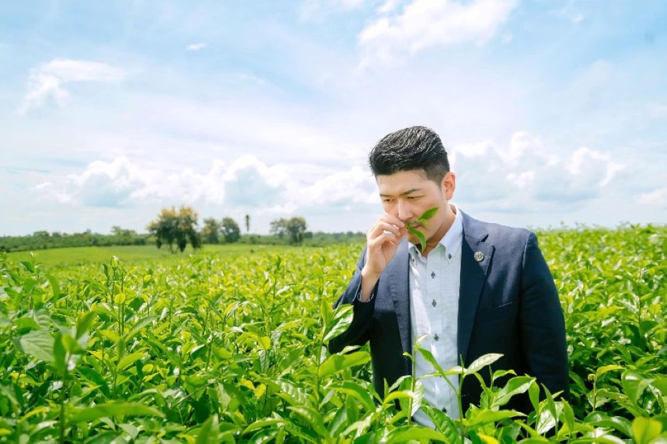 Lâm Đồng - Việt Nam sẽ trở thành trung tâm trà của thế giới