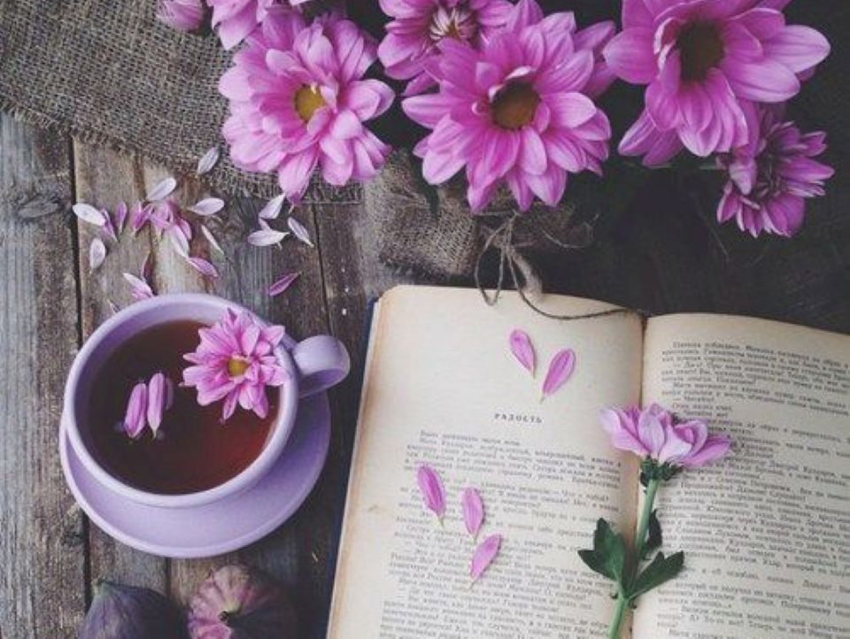Tử vi ngày 21/7/2025 của 12 cung hoàng đạo: Cự Giải có nhiều cơ hội đầu tư