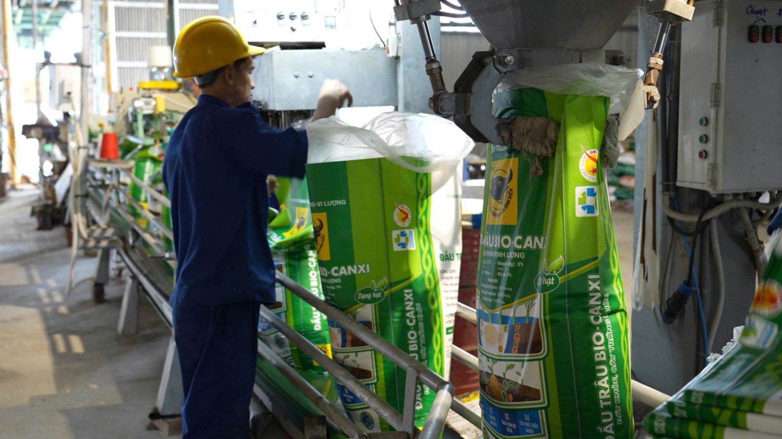 Hành trình đưa vi sinh vật vào phân bón Đầu Trâu Bio-Canxi: Bước đột phá cho nông nghiệp bền vững