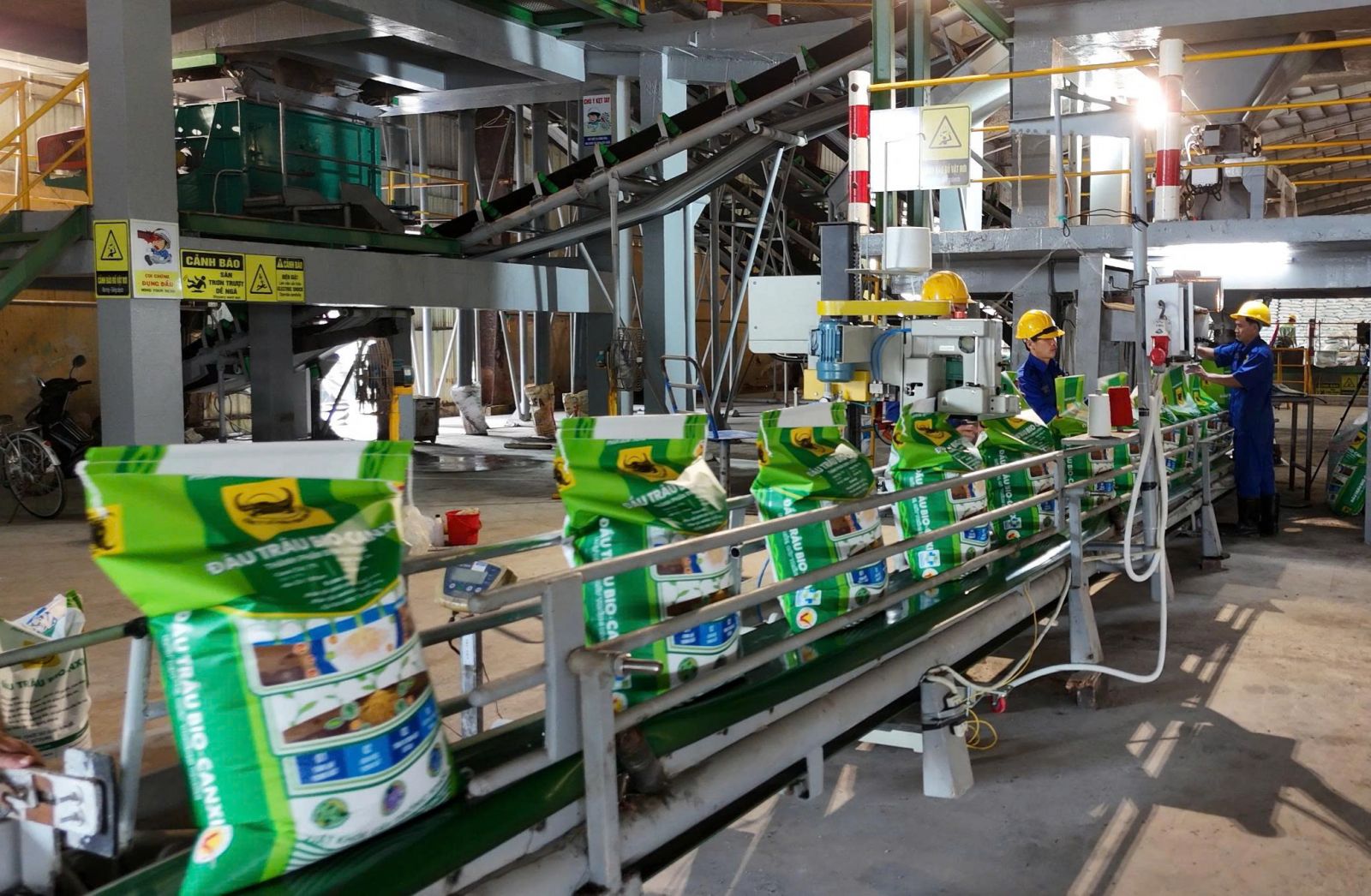 Hành trình đưa vi sinh vật vào phân bón Đầu Trâu Bio-Canxi: Bước đột phá cho nông nghiệp bền vững