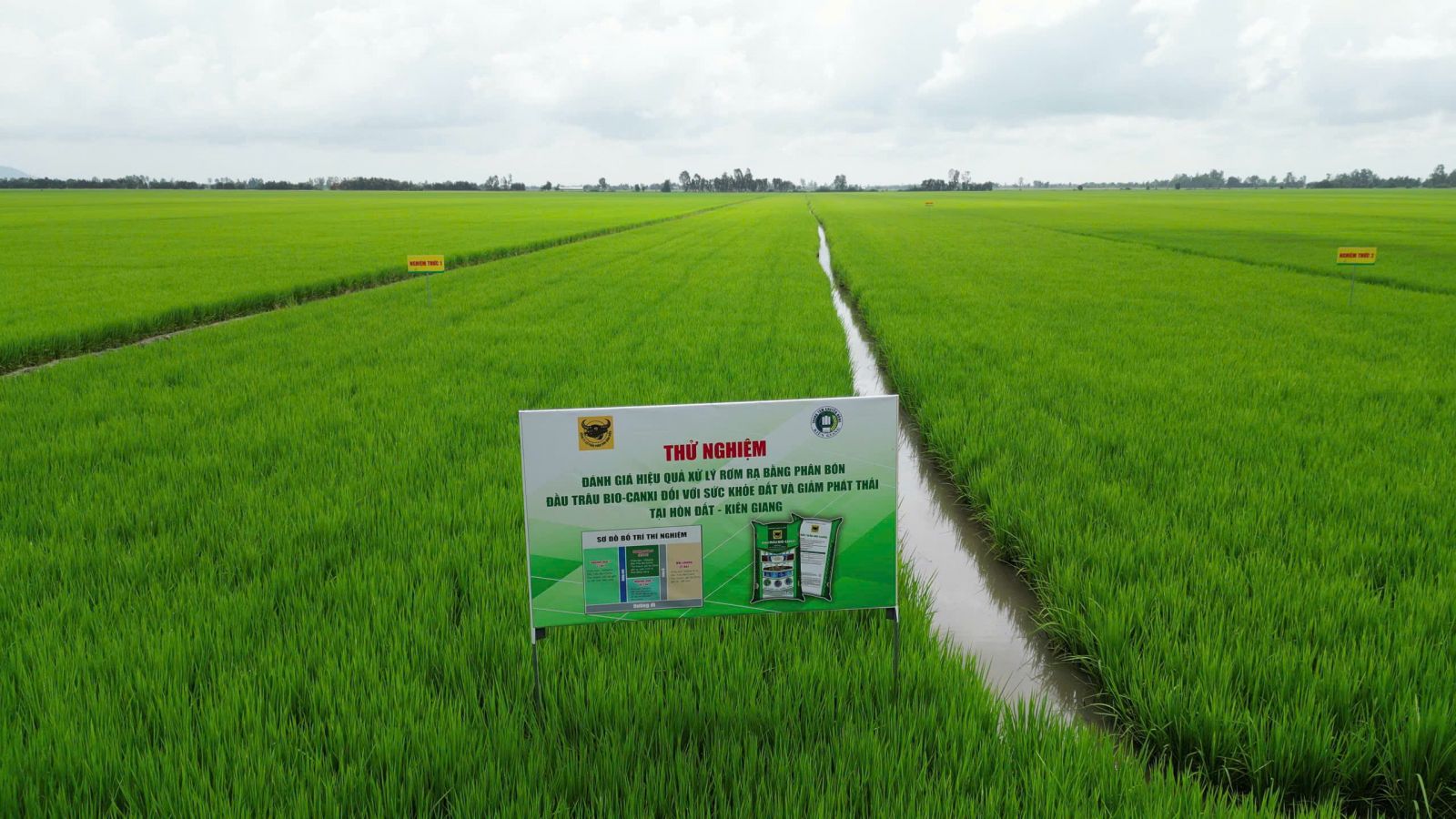 Hành trình đưa vi sinh vật vào phân bón Đầu Trâu Bio-Canxi: Bước đột phá cho nông nghiệp bền vững