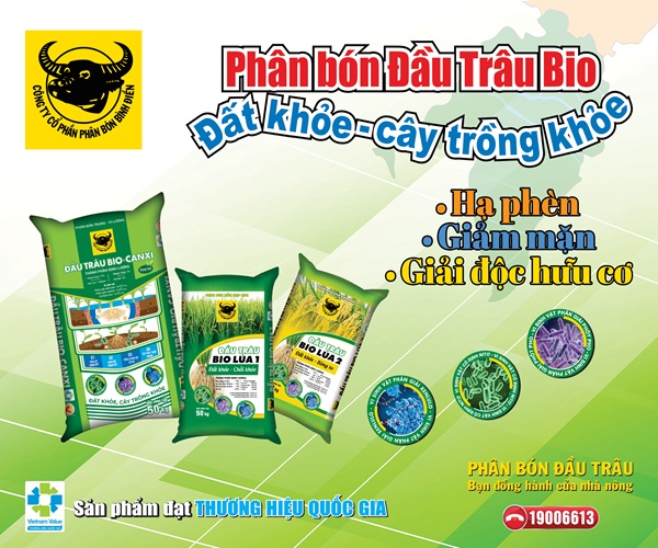 Hành trình đưa vi sinh vật vào phân bón Đầu Trâu Bio-Canxi: Bước đột phá cho nông nghiệp bền vững