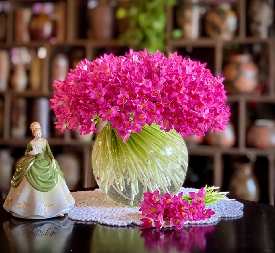 Tử vi ngày 28/7/2025 của 12 cung hoàng đạo: Cự Giải vận trình tài lộc rất vượng