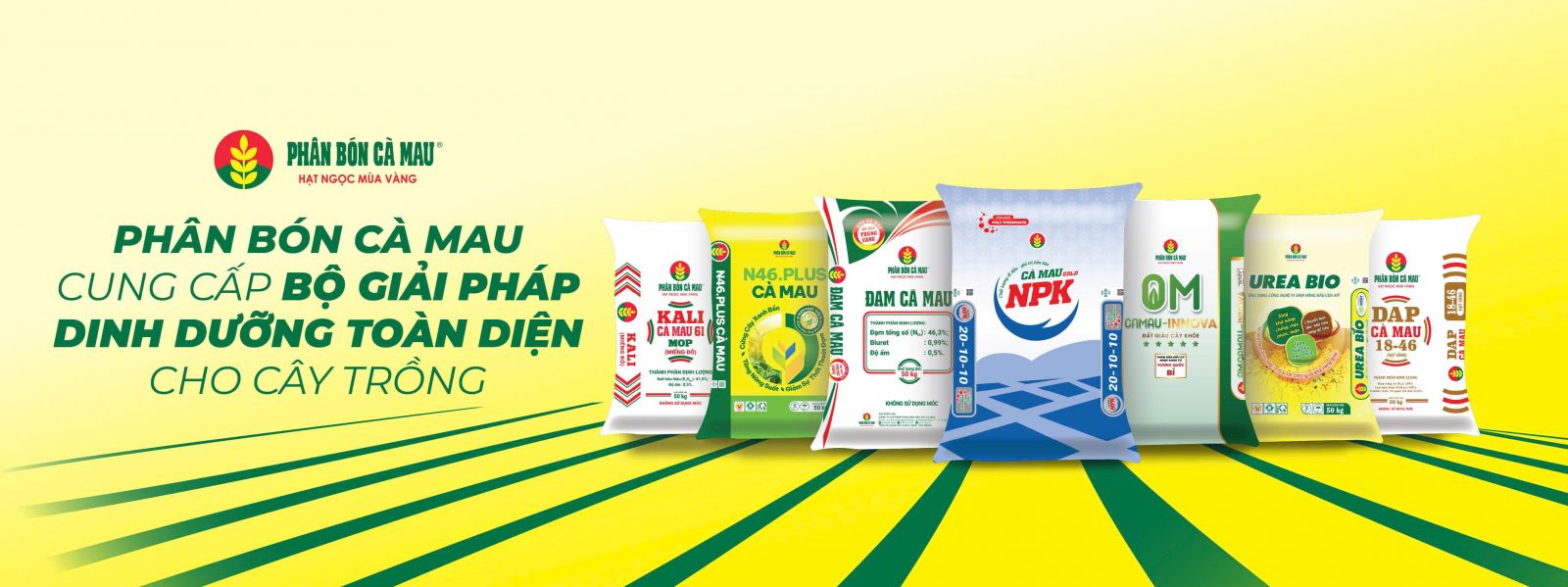 PVCFC (DCM): Tăng trưởng bền vững nhờ chiến lược M&A KVF, sản lượng NPK vượt kế hoạch, triển vọng cổ phiếu tích cực