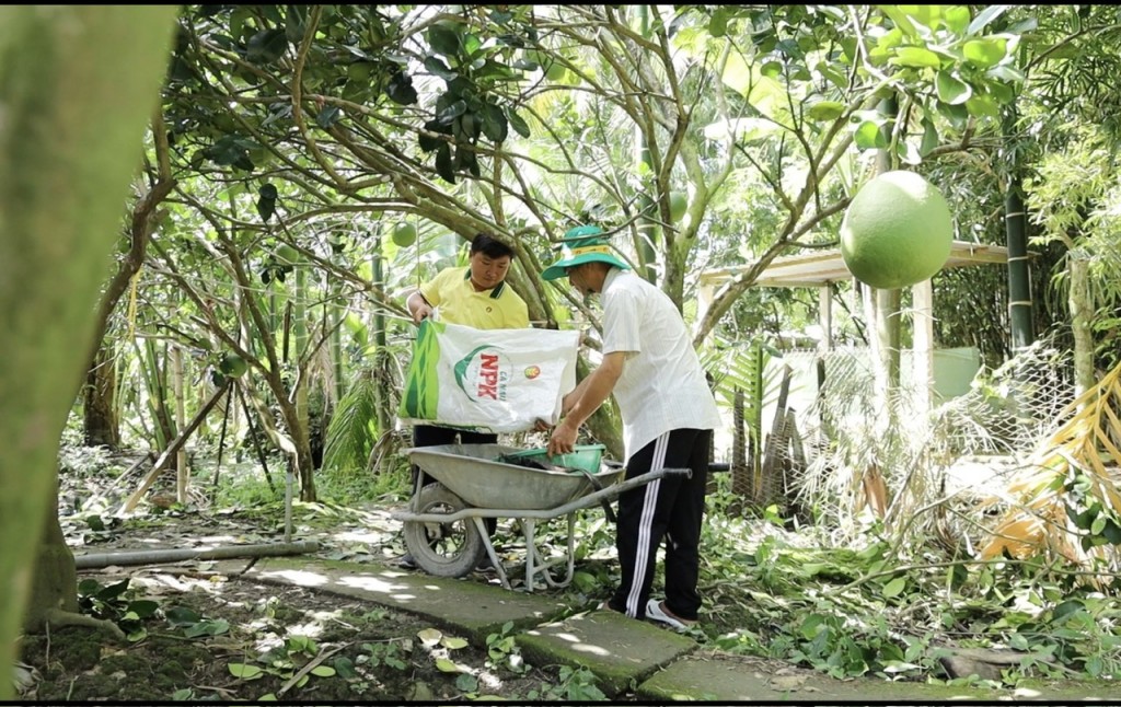 PVCFC (DCM): Tăng trưởng bền vững nhờ chiến lược M&A KVF, sản lượng NPK vượt kế hoạch, triển vọng cổ phiếu tích cực