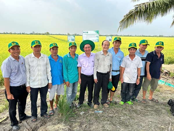 Đầu Trâu Bio-Canxi: Giải pháp đột phá từ thực tiễn đồng ruộng vùng ĐBSCL