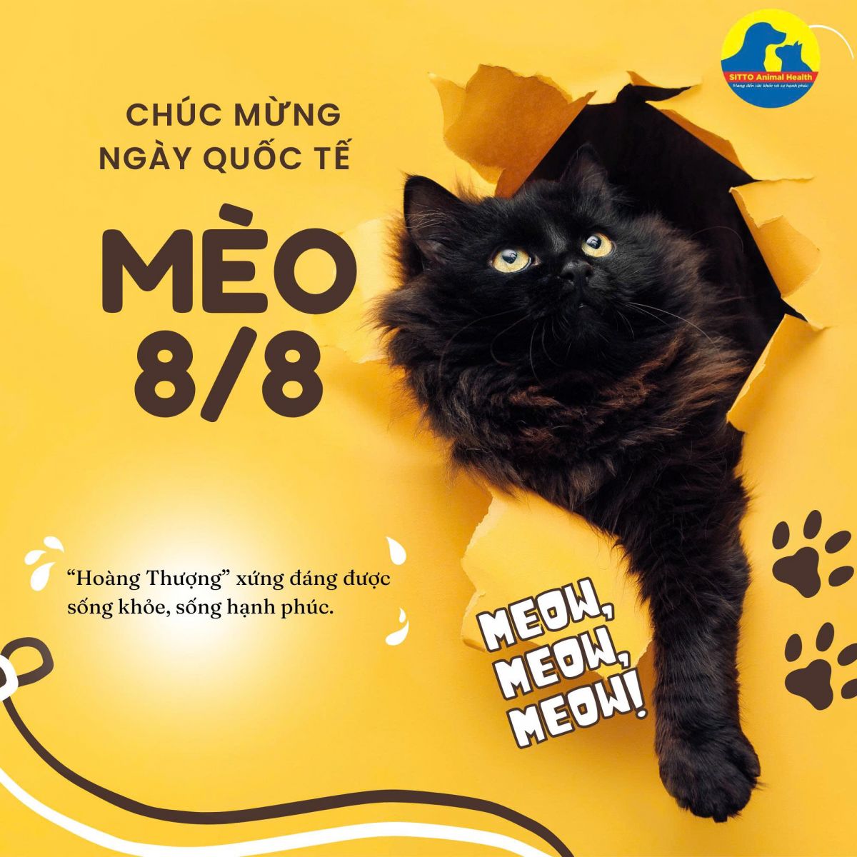 Sittopets: Đồng hành cùng người nuôi mèo trên hành trình yêu đúng cách