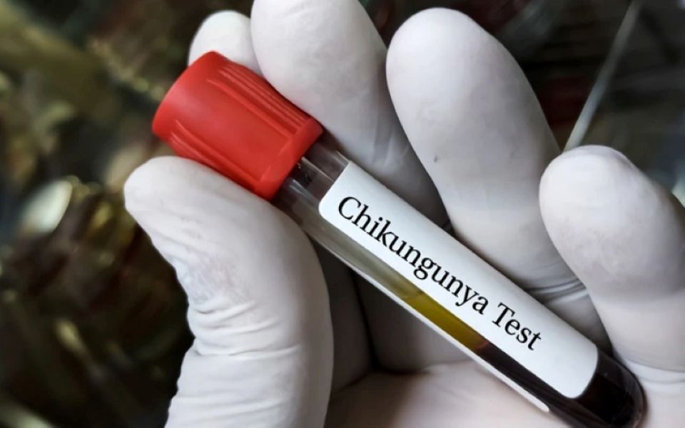 Bộ Y tế yêu cầu chủ động tăng cường phòng, chống bệnh Chikungunya