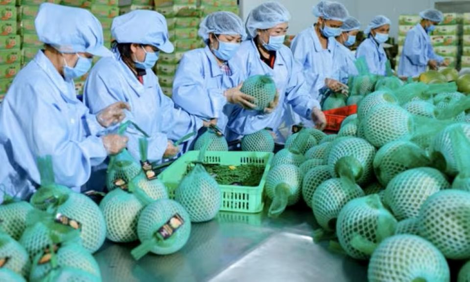 Xuất nhập khẩu duy trì đà tăng trưởng tích cực