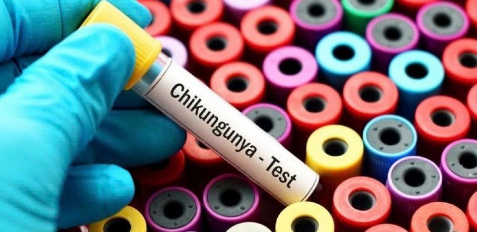 Phòng bệnh Chikungunya bằng cách nào?