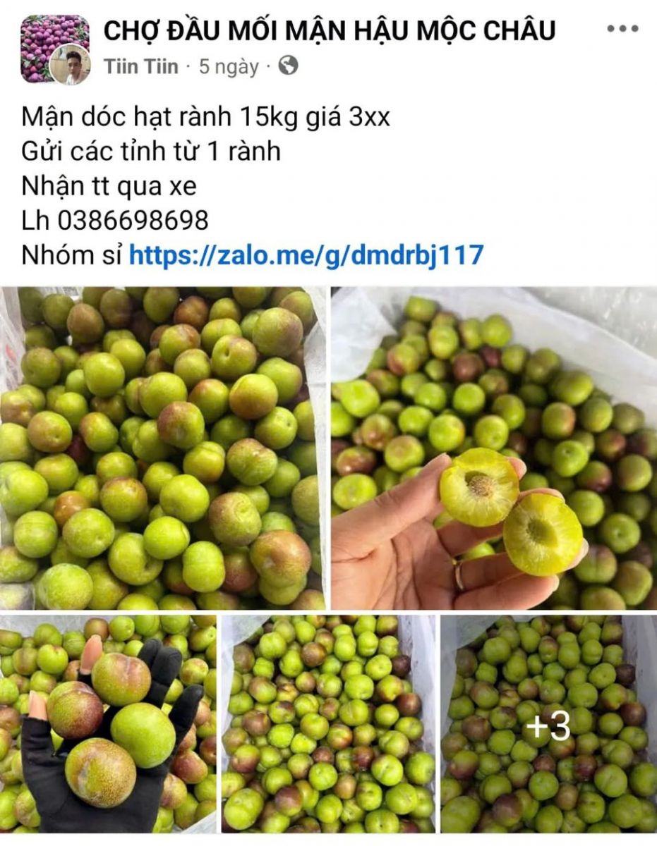 Hàng ngoại núp bóng hàng Việt tràn lan: Ai bảo vệ người tiêu dùng?
