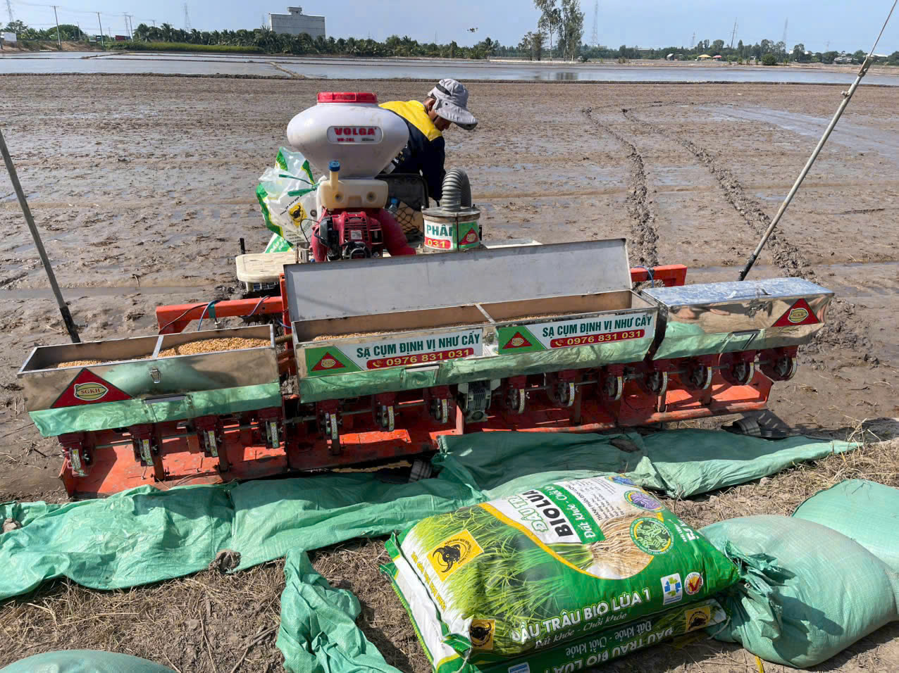 Hướng dẫn sử dụng phân bón Đầu Trâu Bio-Canxi hiệu quả trong sản xuất lúa bền vững