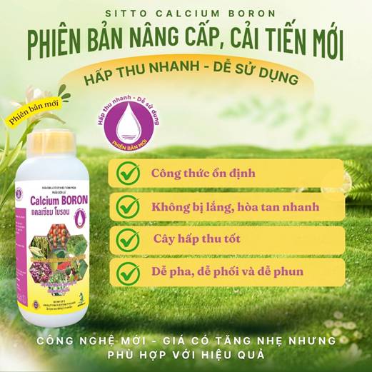 Nâng tầm hiệu quả canh tác với Sitto Calcium Boron phiên bản cải tiến