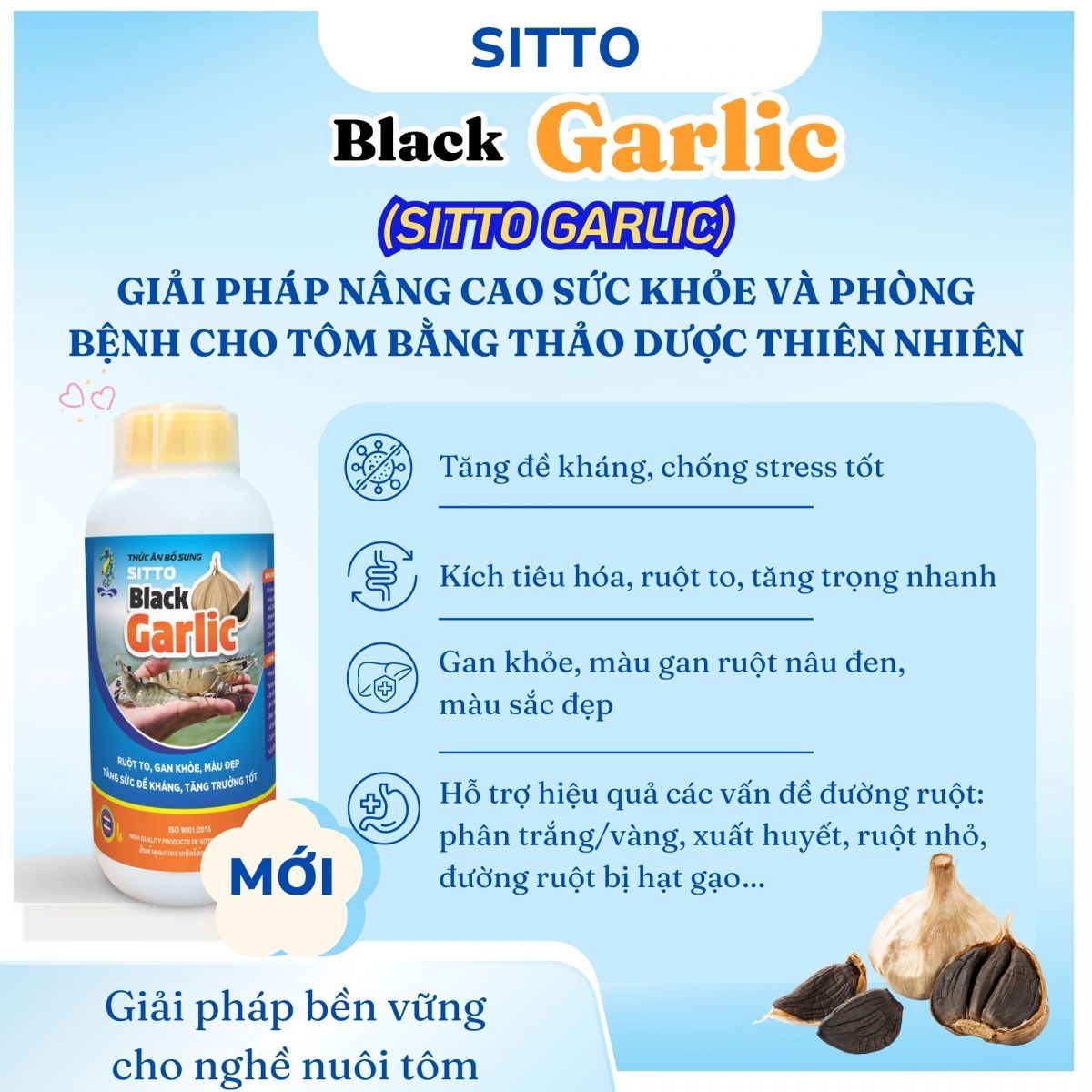 Sitto Black Garlic – Giải pháp nâng cao sức khỏe và phòng bệnh cho tôm bằng thảo dược thiên nhiên