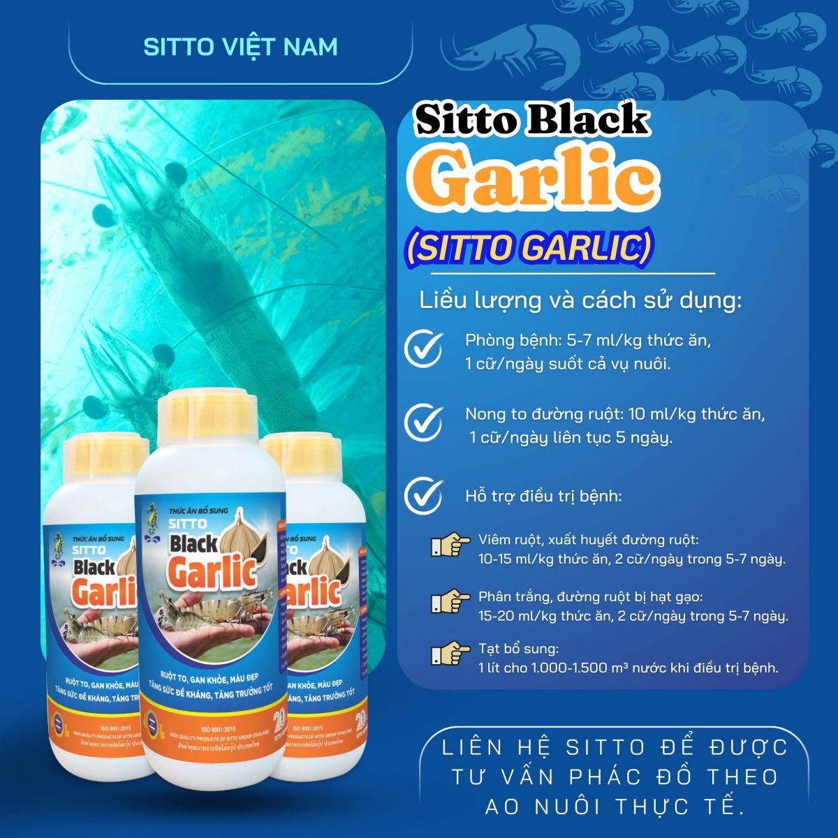 Sitto Black Garlic – Giải pháp nâng cao sức khỏe và phòng bệnh cho tôm bằng thảo dược thiên nhiên