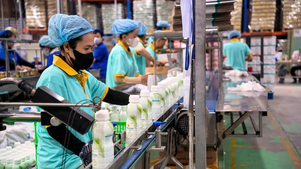 COMOON: "Tinh hoa Đất Mẹ" chinh phục thế giới bằng nước dừa lành mạnh