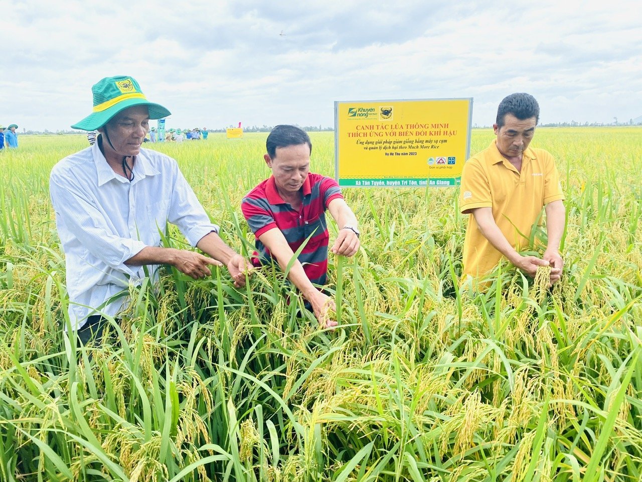 Phân bón Bình Điền: Từ triết lý phụng sự nông dân đến hành trình xanh hóa – số hóa