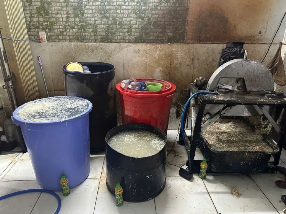 Đà Nẵng: Phát hiện cơ sở dùng hóa chất tẩy trắng hoa chuối