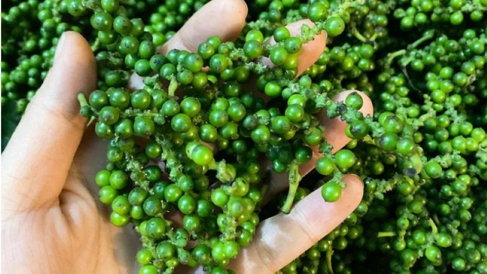 Giá nông sản ngày 28/8/2025: Hồ tiêu bật tăng mạnh, đạt 150.000 đồng/kg
