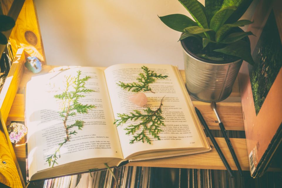 Tử vi ngày 31/8/2025 của 12 cung hoàng đạo: Bảo Bình sức khỏe không được tốt