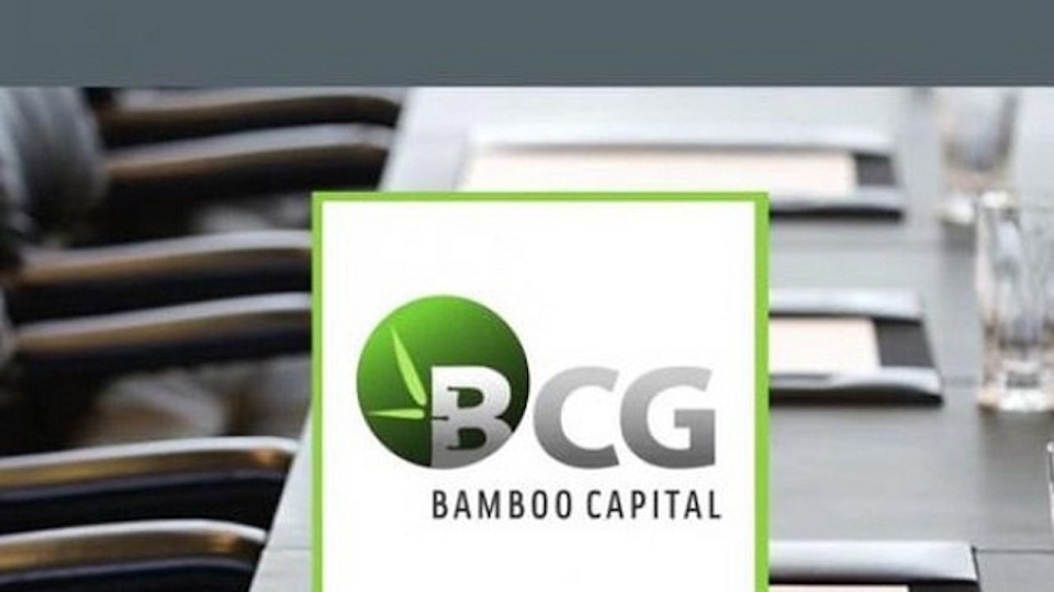 Cổ phiếu “họ” Bamboo Capital bùng nổ, dòng tiền đổ về mạnh mẽ