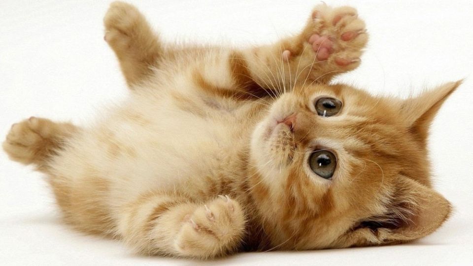 Con số may mắn tài lộc ngày 14/9/2025 của 12 con giáp