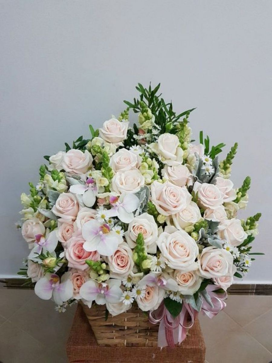 Tử vi ngày 7/10/2025 của 12 cung hoàng đạo: Tình duyên của Bảo Bình khá tốt