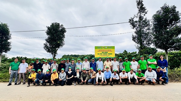Hệ thống canh tác cà phê thông minh – Vai trò tích hợp của Công nghệ và Phân bón
