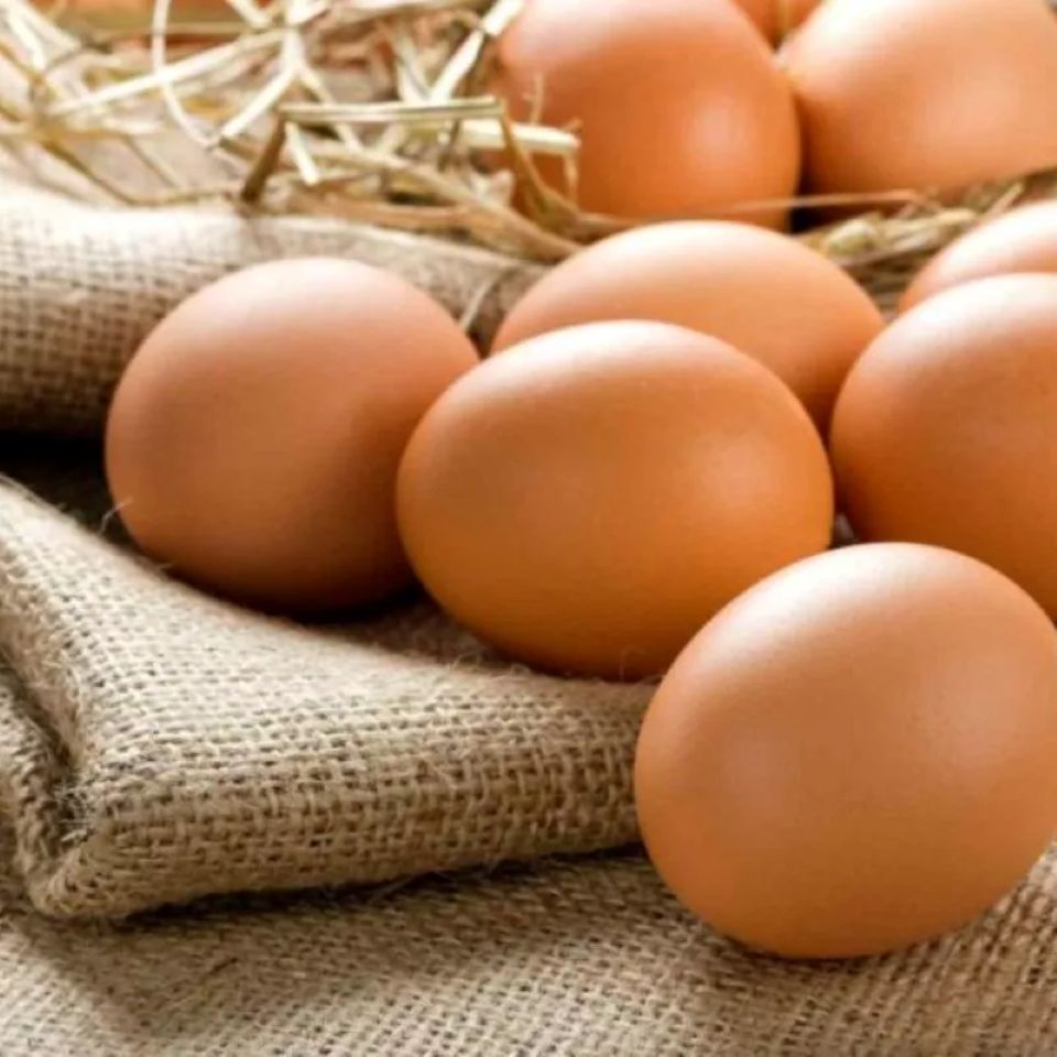 Trứng gà Omega-3: "Siêu thực phẩm" vàng cho tim mạch và não bộ