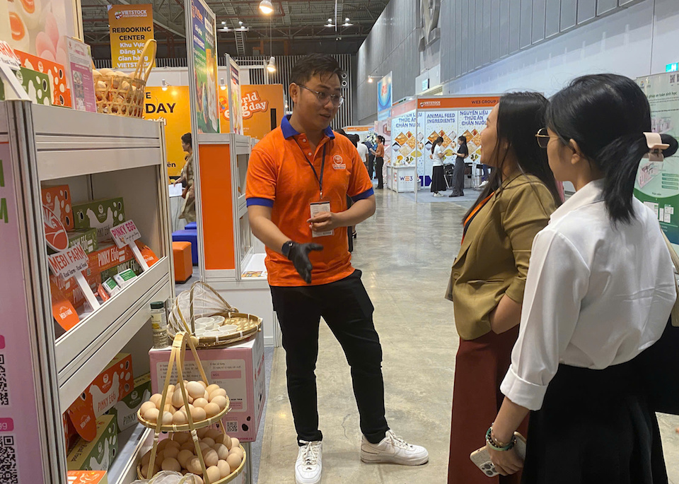 Trứng gia cầm: thị trường "vàng" chưa được khai thác hết tại Việt Nam