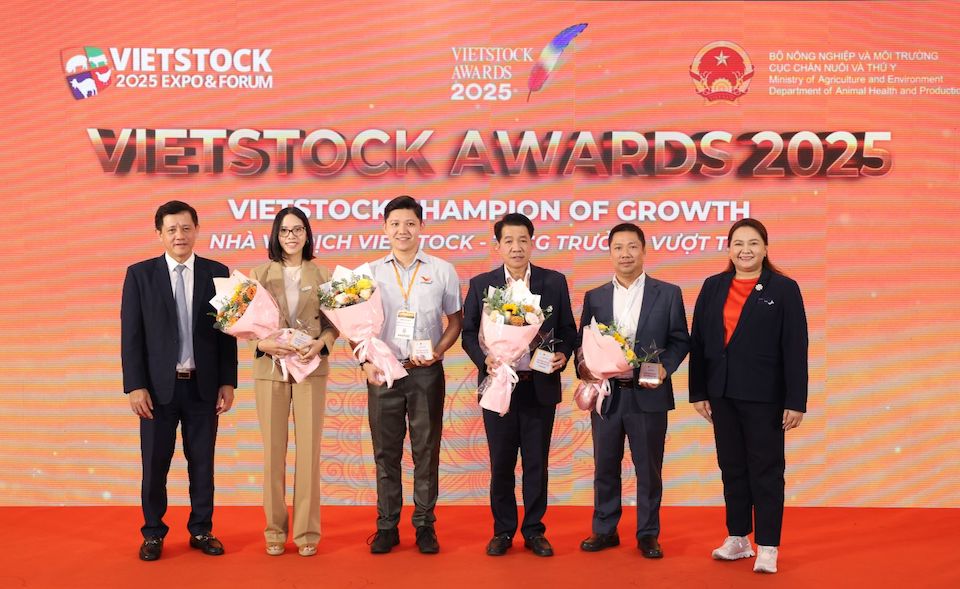 Vinh danh 13 doanh nghiệp xuất sắc tại Vietstock Awards 2025