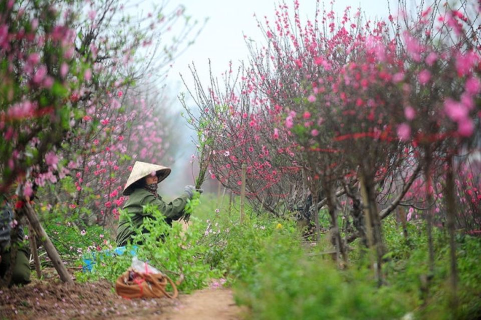 Thủ tướng Chính phủ đồng ý phương án nghỉ Tết Bính Ngọ 9 ngày liên tục