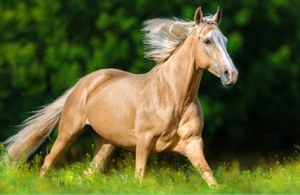 Con số may mắn tài lộc ngày 18/10/2025 của 12 con giáp