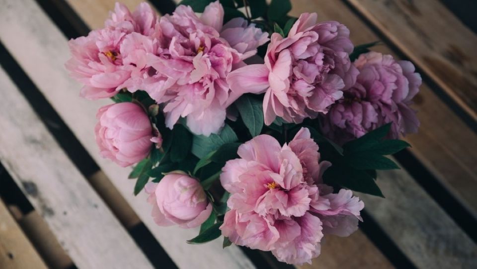 Tử vi ngày 22/10/2025 của 12 cung hoàng đạo: Bọ Cạp sức khỏe không được tốt